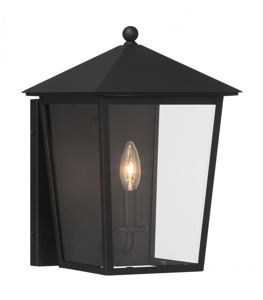 NOBLE HILL- 1 LIGHT OUTDOOR WALL MOUNT