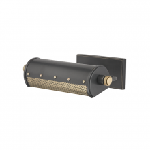 Hudson Valley Orange 2100-AOB - 1 LIGHT PICTURE LIGHT