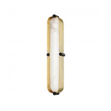 Hudson Valley Orange 2916-AGB/BK - SMALL LED BATH BRACKET