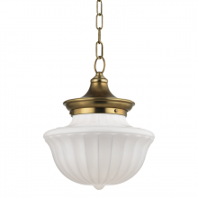 Hudson Valley Orange 5012-AGB - 1 LIGHT MEDIUM PENDANT