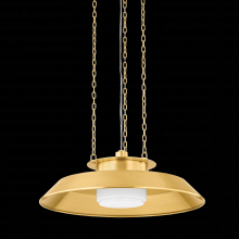 Hudson Valley Orange 8822-AGB - Woodrow Pendant