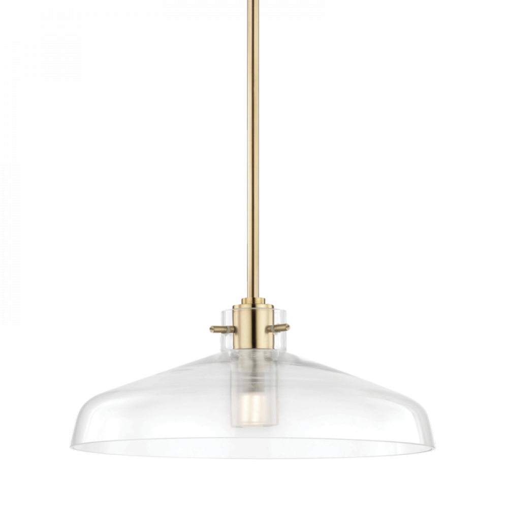 1 LIGHT PENDANT