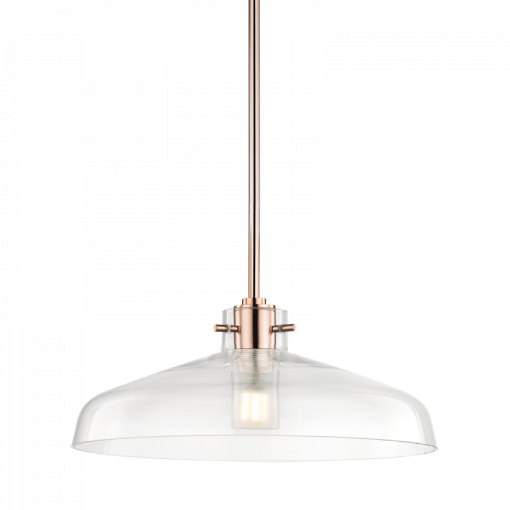 1 Light Pendant