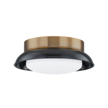 Troy Orange C2014-PBR/GBK - ARNIE Flush Mount