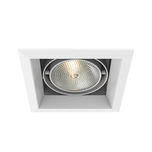 Eurofase Blue US TE131-22 - MULT,PAR30,TRM,1LT,75W,WH/WHT