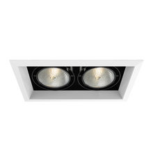 Eurofase Blue US TE132-02 - MULT,PAR30,TRM,2LT,75W,WH/BLK