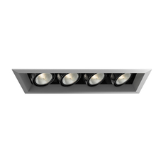 Eurofase Blue US TE164A-0N - MULT,PAR20,TRM,4LT,50W,PT/BLK