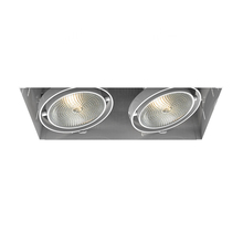 Eurofase Blue US TE222-02 - MULT,PAR30,TRIMLSS,2LT,75W,WT