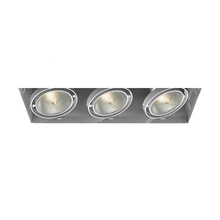 Eurofase Blue US TE223-02 - MULT,PAR30,TRIMLSS,3LT,75W,WT