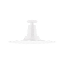 Montclair Light Works FMB159-44 - 16" Radial shade, Flush Mount Light ceiling light, White