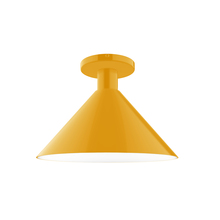 Montclair Light Works FMDX466-21 - 12" Chase Flush Mount, Bright Yellow