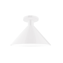 Montclair Light Works FMDX466-44 - 12" Chase Flush Mount, White