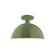 Montclair Light Works FMDX471-22 - 12" Ray Flush Mount, Fern Green