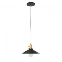 Montclair Light Works PEB404-41-91 - Uno 10" Pendant,  Black with Brushed Brass hardware