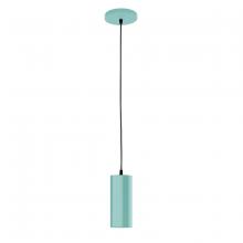 Montclair Light Works PEB418-48 - 3.5" Jordan shade, black cord with canopy, Sea Green