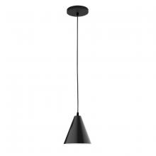 Montclair Light Works PEB420-41 - 8" Jynx shade, black cord with canopy, Black
