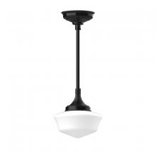 Montclair Light Works STC021-41 - 12" Schoolhouse glass, 1/2" x 36" stem and canopy, Black