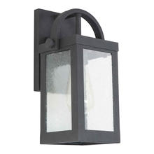 Eglo US Stocking 203103A - 1x60W Outdoor Wall Light w/ Matte Black Finish & Clear Seedy Glass