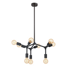 Eglo US Stocking 204294A - 9 LT Open Bulb Pendant or Ceiling Light w/ Black finish
