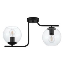 Eglo US Stocking 204338A - 2 LT Ceiling Light w/ a Black Finish & Clear Glass Shades