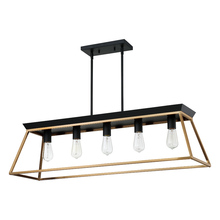 Eglo US Stocking 204596A - 5 LT Open Frame Linear Pendant w/ Brushed Gold & Matte Black Finish