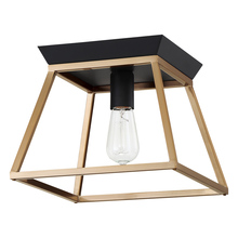 Eglo US Stocking 204601A - 1 LT Open Frame Ceiling Light w/ Brushed Gold & Matte Black Finish