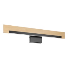 Eglo US Stocking 205523A - Camacho - LED Bath/Vanity Light