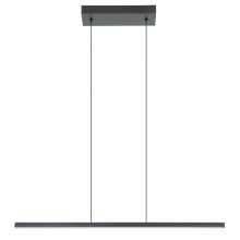 Eglo US Stocking 206045A - 1 LT LED Linear Pendant