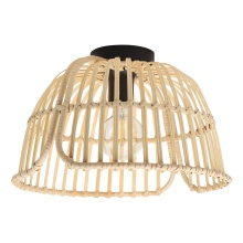 Eglo US Stocking 43872A - Glyneath - 1 LT Ceiling Light