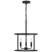 Quoizel Lighting  ABR2814MBK - Abner Pendant