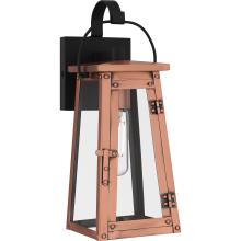Quoizel Lighting  CLN8405AC - Carolina Outdoor Lantern