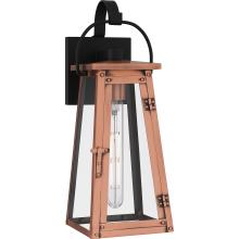 Quoizel Lighting  CLN8406AC - Carolina Outdoor Lantern