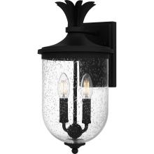 Quoizel Lighting  HVN8408EK - Havana Outdoor Lantern