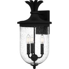 Quoizel Lighting  HVN8410EK - Havana Outdoor Lantern