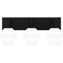 Quoizel Lighting  NIE8621MBK - Nielson Bath Light