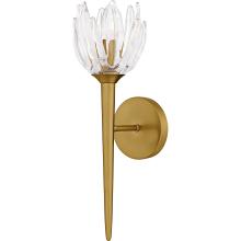 Quoizel Lighting  SHA8806BRG - Shea Wall Sconce