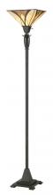 Quoizel Lighting  TFAS9470VA - Asheville Floor Lamp