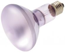 Full-Spectrum Bulbs