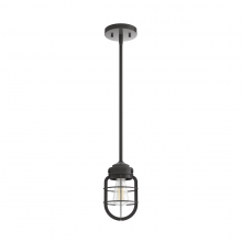 STARKLAKE 1 LIGHT MINI PENDANT