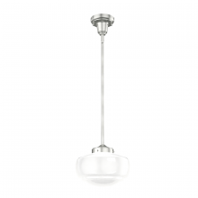 SADDLE CREEK 1 LIGHT MINI PENDANT